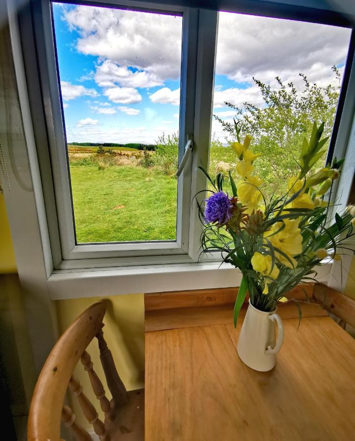 Bluebell Off-Grid Van Newton Stewart Esterno foto
